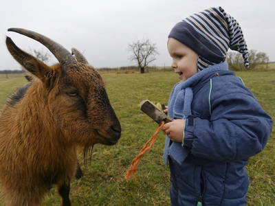 Bild 10 aus  Sonnenlandhof