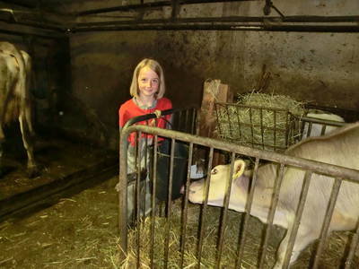 Bild 15 aus  Raffreiderhof