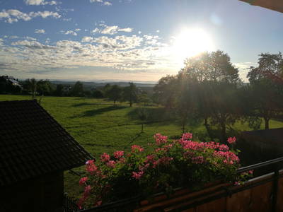 Bild 33 aus  Pension Baarblick