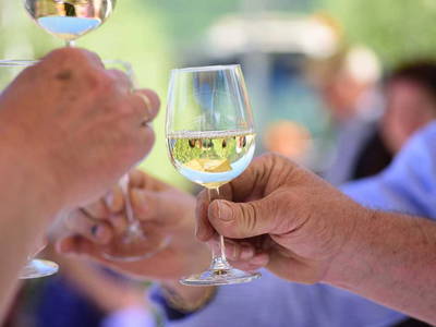 Chef Hansjörg bei der Spargelwanderung