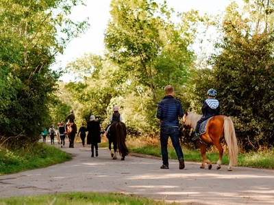 Bild 22 aus LandSelection - Ferienhof Paulsen