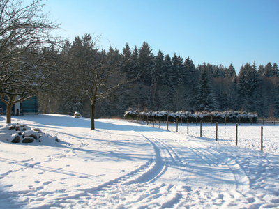 Bild 32 aus  KnallerbsenHof