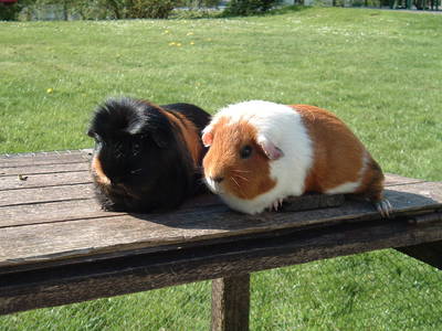 Bild 7 aus  Haus Hermes