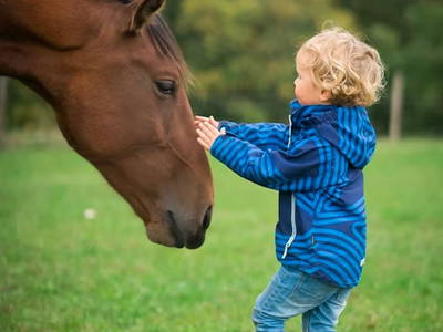 Bild 6 aus  Waldbachhof