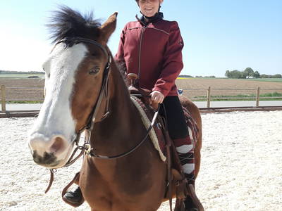 Bild 32 aus  Freizeit- und Ferienreiterhof Odenwald