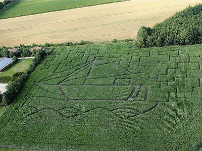 Bild 34 aus  Ferien & Freizeithof Meutstege