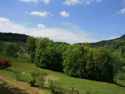 Bild 20 aus  Bierpeterhof