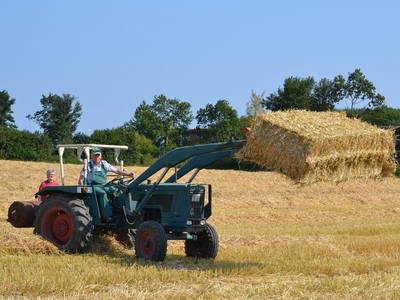 Bild 14 aus  Ferienhof Siemen