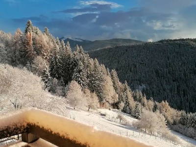 Bild 22 aus  Spörlhof