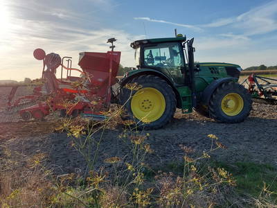 Bild 4 aus  Hof Albersmeier Urlaub am Stall