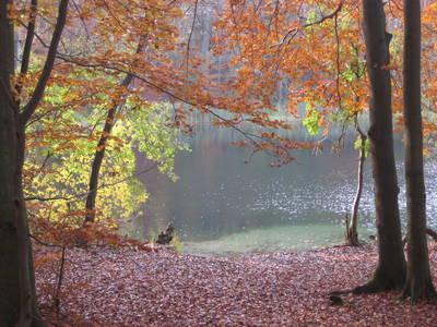 Bild 11 aus  Elsenhöhe