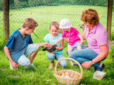 Bild 19 aus  Panoramahof