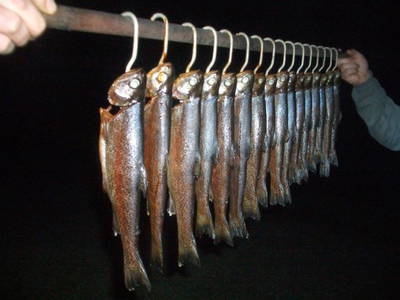 Bild 12 aus  Maierhof