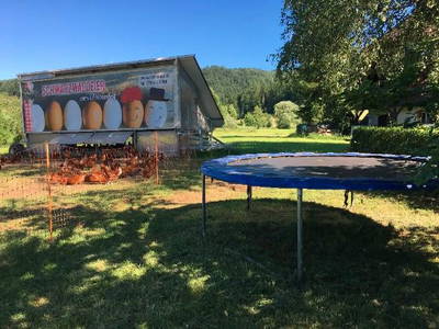 Bild 14 aus  Ferienpension-Bauernhof Mattenhof