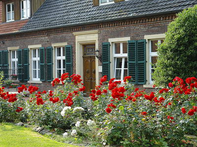 Bild 22 aus  Ferienhof  Jeiler