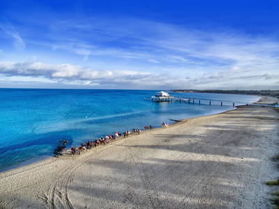 Bild 24 aus  Gestüt Hof am See