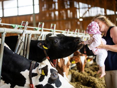 Bild 63 aus  LandSelection Ferienhof Zur Hasenkammer