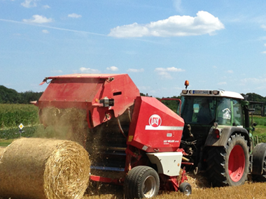 Bild 12 aus  Bauerngut Schiefelbusch