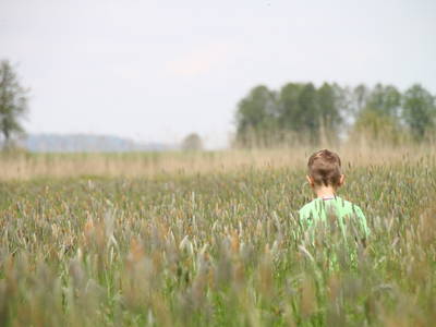 Bild 28 aus  Ferienhof Larrieder Mühle
