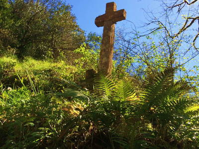 Bild 130 aus  Le Colombié - Ferienhäuser an der Dordogne mieten