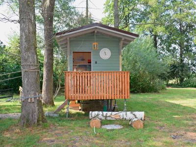 Bild 12 aus  Baumhotel Auszeit