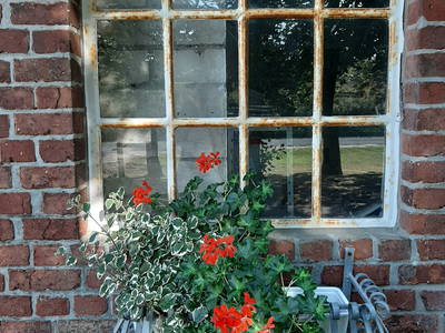 Bild 24 aus  Ferienhof Claußen