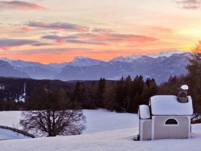 Bild 11 aus  Schadnerhof