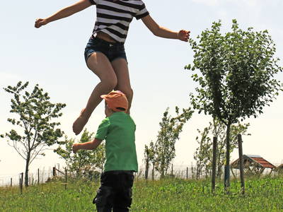 Bild 27 aus  Ederhof