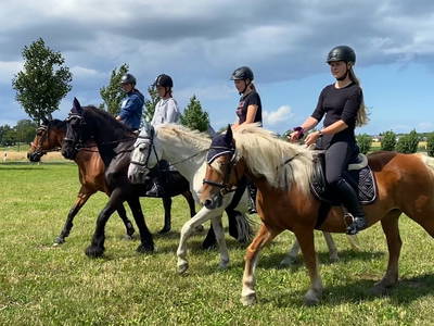 Bild 19 aus  Erlebnis-Bauernhof Kliewe auf der Insel Rügen