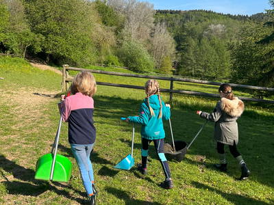 Gemeinsames Abäppeln der Pferdekoppeln