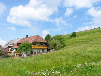 Bild 2 aus  Willkommen bei Familie Gutmann  auf dem Itzenwaldhof