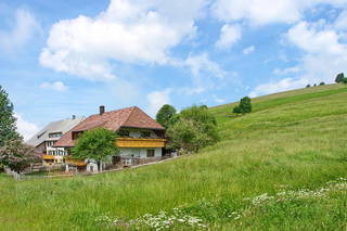 Willkommen bei Familie Gutmann  auf dem Itzenwaldhof aus Münstertal (Schwarzwald)