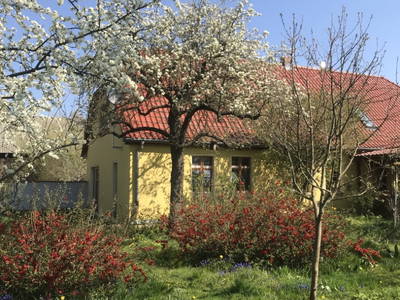 Bild 7 aus  Hollerhof-Oderbruch