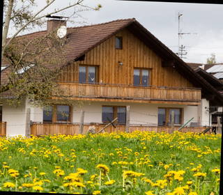 Am Holderbusch aus Füssen