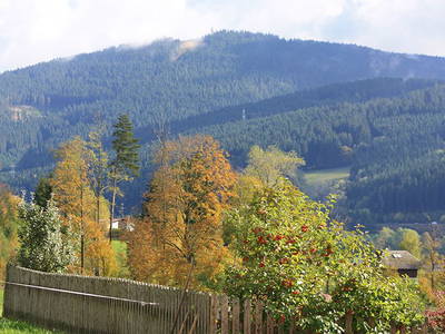 Bild 9 aus  Weberhof am Titisee