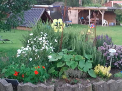 Bild 25 aus  Ferienhof Sengstaken