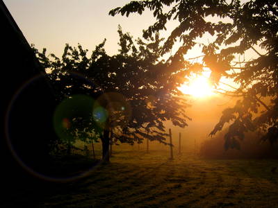 Bild 20 aus  Imkershof