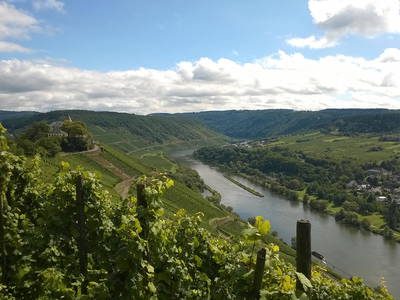 Bild 17 aus  Wein & Wohngut Paulushof