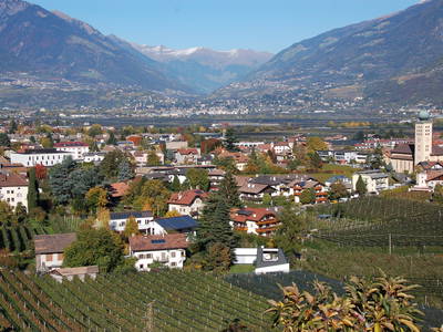 Bild 23 aus  Callhof Biohof