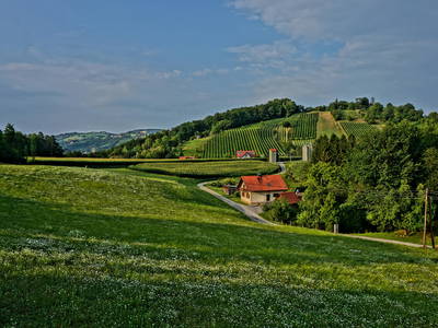 Bild 16 aus  Der Ofenmacherhof  Urlaub am Bauernhof