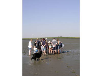 Bild 6 aus  Unsere kleine Farm