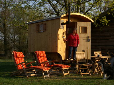 Bild 15 aus  Erlenhof im Oderbruch - Rund ums Schaf