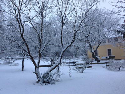 Bild 16 aus  Auszeithaus Brigittenhof