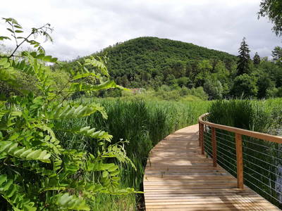 Bild 29 aus  Ansitz Grustdorf