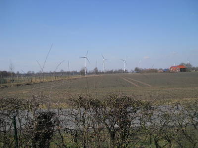 Blick ins Münsterland