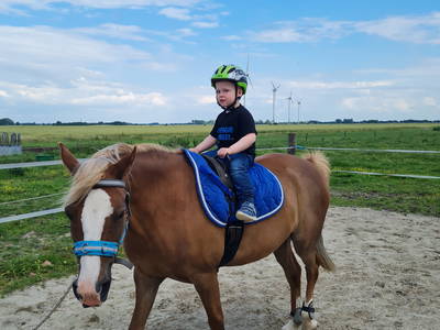 Bild 43 aus  Küstenhof Oldewurtel