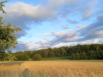 Bild 28 aus  Ferienhof und Ott im Romantischen Franken bei Rothenburg o.d.T.
