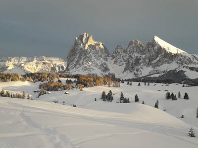 Bild 35 aus  Fillhof