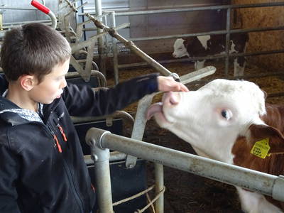 Bild 18 aus  Schötzerhof