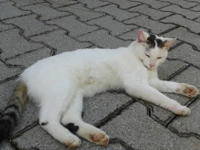 Bild 31 aus  Haberlhof